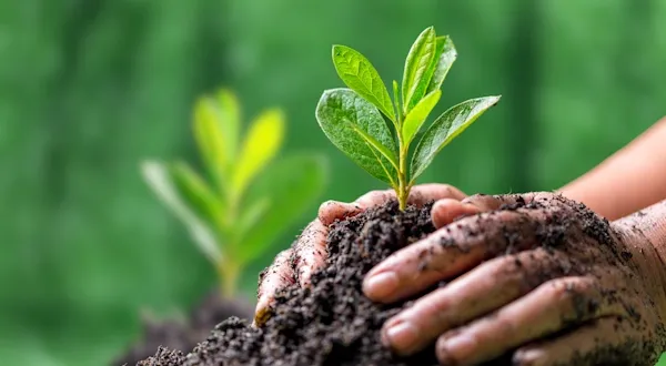 RI-CO Plastics About Environmental